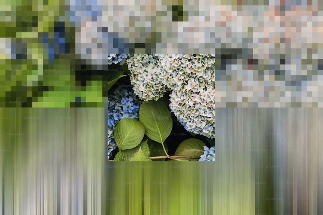 扭亏为赢，我国锂王何时重回巅峰？